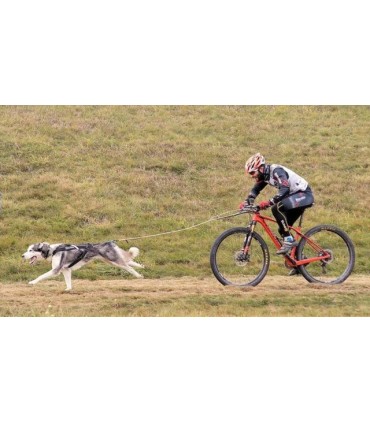 Non-stop Dogwear BIKE ANTENNA