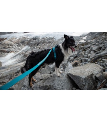 Non-stop Dogwear TOURING BUNGEE 23mm koerte jalutusrihm