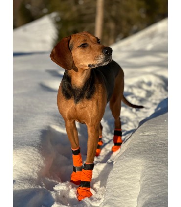 Non-stop Dogwear CONTACT BOOTIE HIGH käpasokid