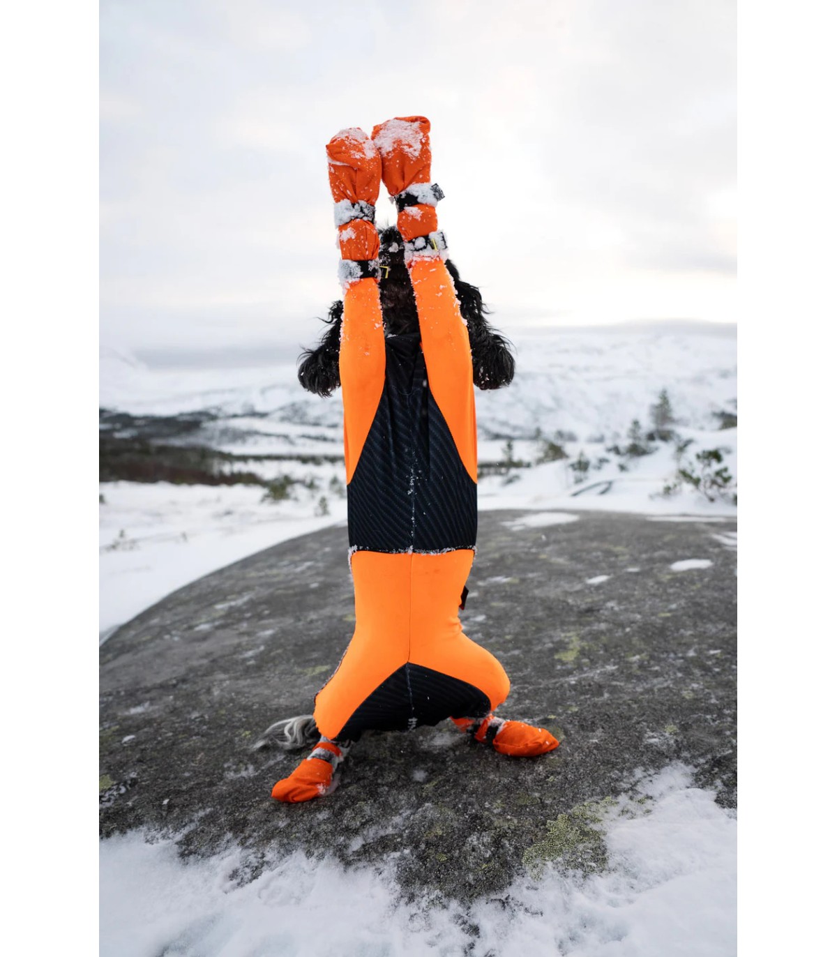 Non-stop Dogwear CONTACT BOOTIE HIGH käpasokid