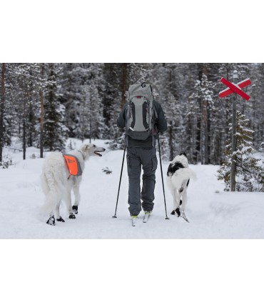 Non-stop Dogwear SOLID SOCKS käpasokid