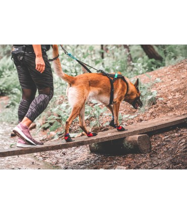 Non-stop Dogwear SOLID SOCKS käpasokid