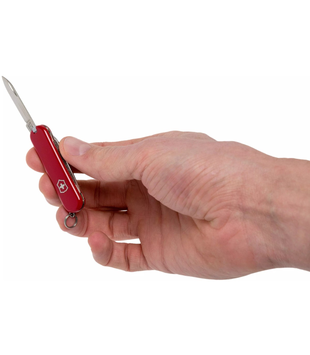 Victorinox ESCORT taskunuga