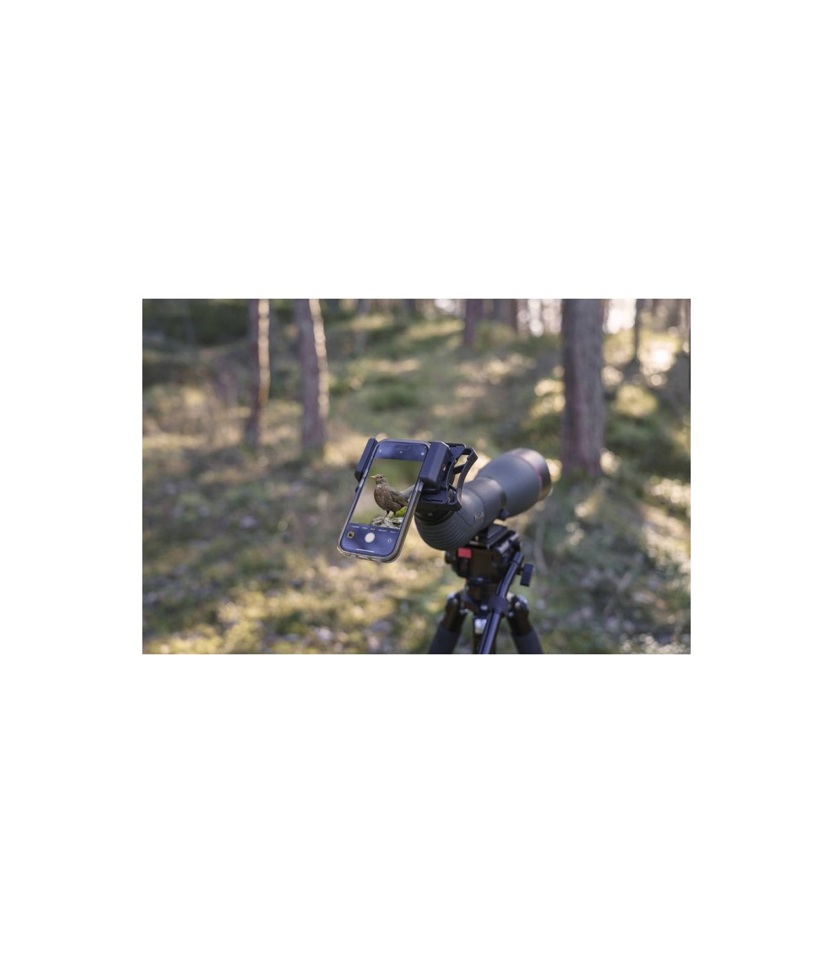 Focus CONNECT DIGISCOPING nutitelefoni adapter