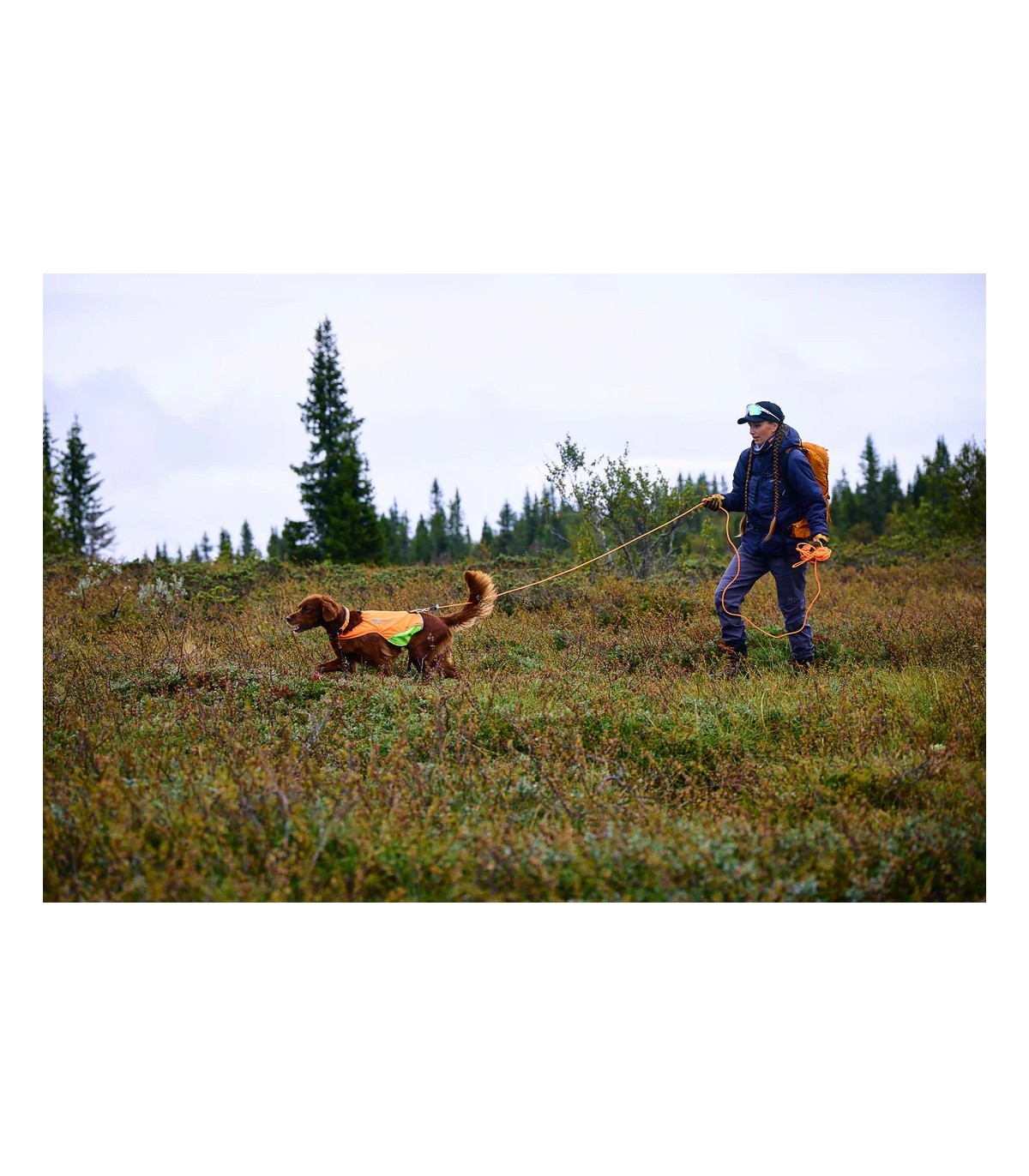 Non-stop Dogwear PROTECTOR ROUND LONG LINE koerte jalutusrihm