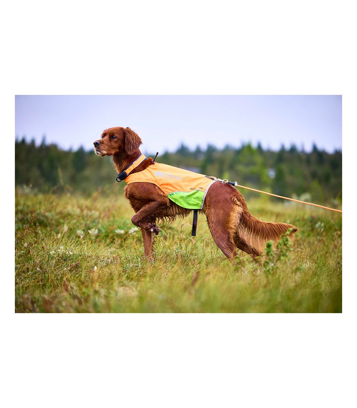 Non-stop Dogwear PROTECTOR ROUND LONG LINE koerte jalutusrihm