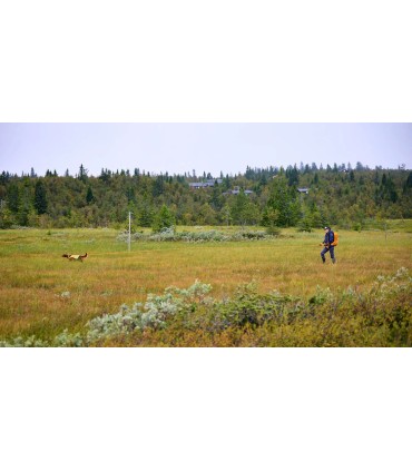 Non-stop Dogwear PROTECTOR ROUND LONG LINE koerte jalutusrihm