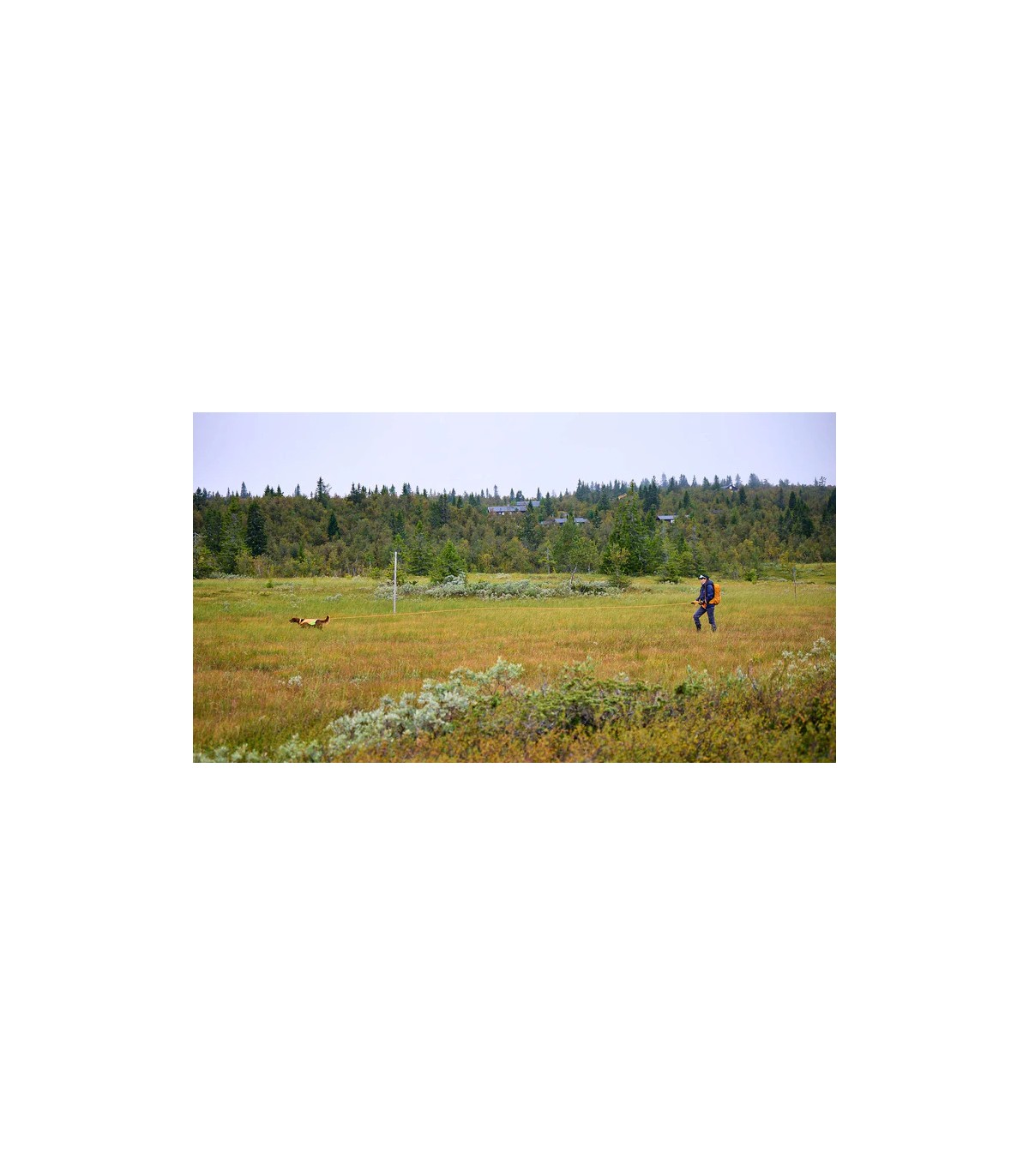 Non-stop Dogwear PROTECTOR ROUND LONG LINE koerte jalutusrihm