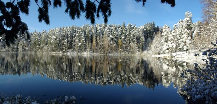 Viitna järvede matk