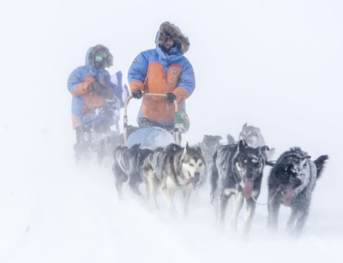 Arktika kutsub – Fjällräven Polar 2025