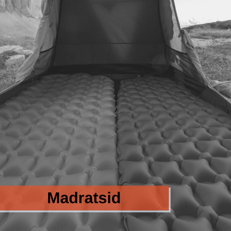 Madratsid