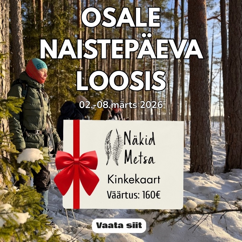 Näistepäeva loos ´26